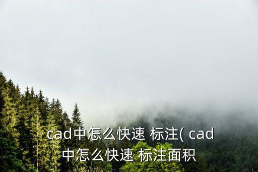  cad中怎么快速 標注( cad中怎么快速 標注面積