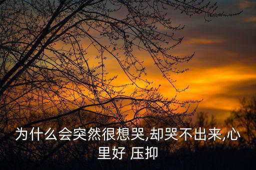 心里好壓抑好累好想哭,壓抑太久會(huì)出現(xiàn)負(fù)面情緒最好放在屋子里