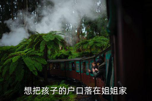 孩子可以落戶到姐姐家上學么，小孩戶口可以上到小孩姐姐戶口上嗎