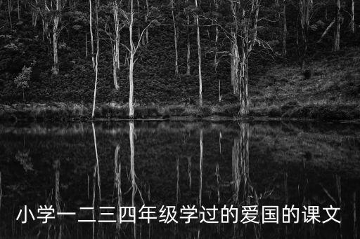 小學(xué)一二三四年級學(xué)過的愛國的課文