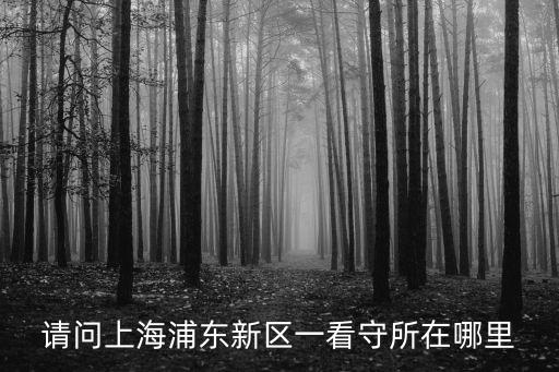 請問上海浦東新區一看守所在哪里