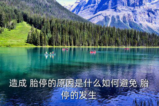 造成 胎停的原因是什么如何避免 胎停的發(fā)生