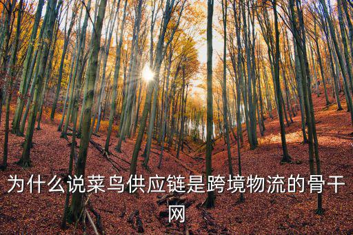 為什么說菜鳥供應鏈是跨境物流的骨干網