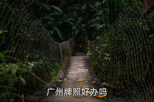 廣州牌照好辦嗎