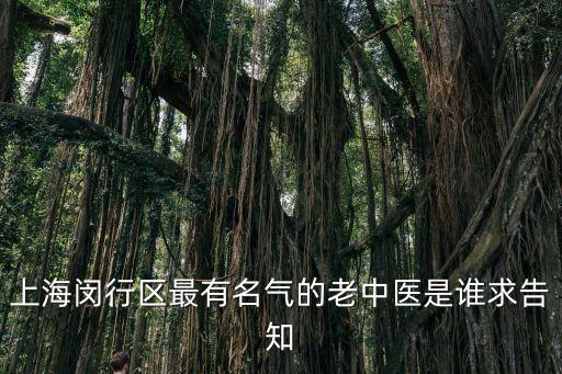 上海閔行區最有名氣的老中醫是誰求告知