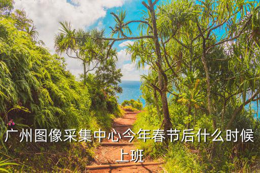廣州圖像采集中心今年春節后什么時候上班
