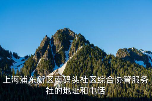 上海浦東新區(qū)南碼頭社區(qū)綜合協(xié)管服務(wù)社的地址和電話