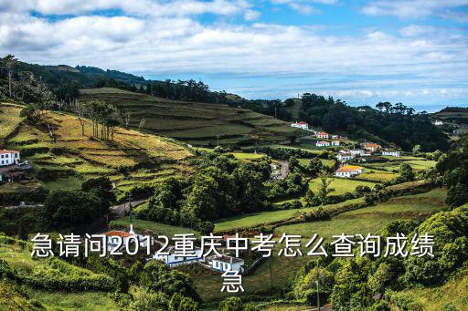 重慶市期成績查詢，2016年重慶中考成績怎么查詢