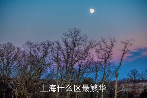 上海什么區(qū)最繁華