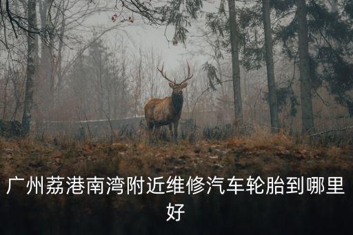 廣州荔港南灣附近維修汽車輪胎到哪里好
