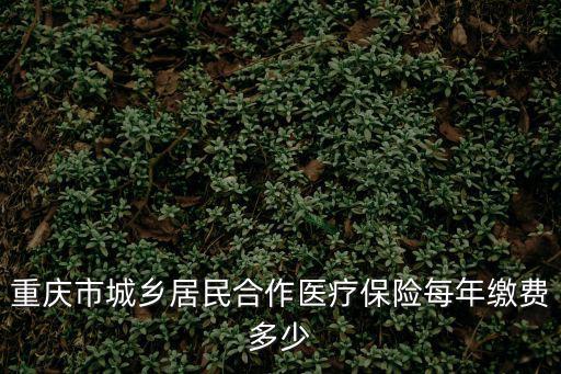 重慶市城鄉(xiāng)居民合作醫(yī)療保險每年繳費多少