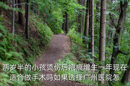 兩歲半的小孩燙傷后疤痕增生一年現在適合做手術嗎如果選擇廣州醫院怎