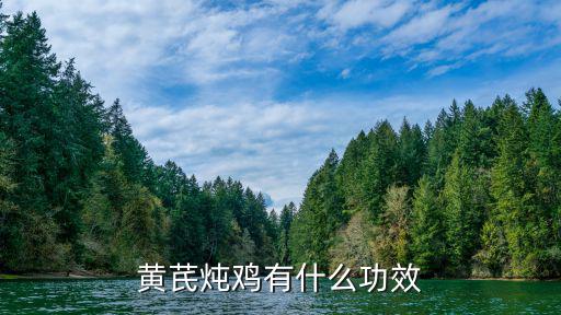 黃芪燉雞湯，黃芪燉雞怎么做好吃黃芪燉雞的家常做法