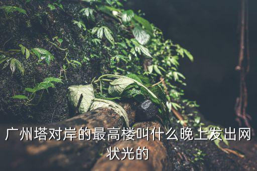 廣州塔對岸的最高樓叫什么晚上發(fā)出網(wǎng)狀光的