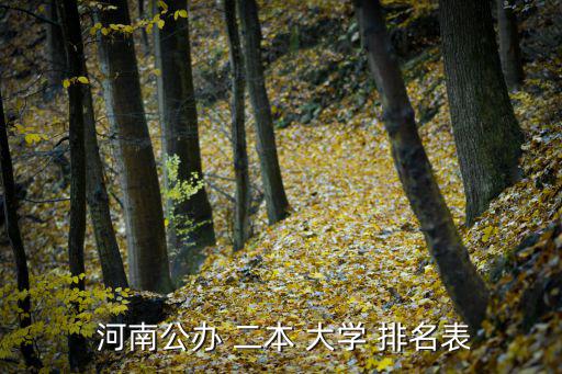 河南二本大學(xué)排名,河南大學(xué)圖書館創(chuàng)建于1912年
