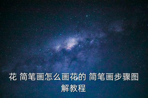 簡筆花朵,簡筆畫圖步驟一文看懂