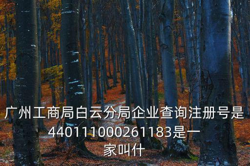 廣州工商局白云分局企業(yè)查詢注冊號是440111000261183是一家叫什