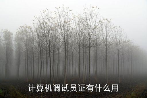 計算機調試員證有什么用