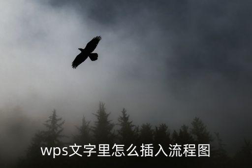 wps文字里怎么插入流程圖