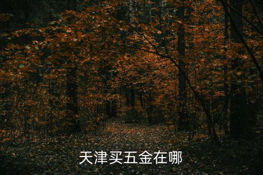 天津買五金在哪