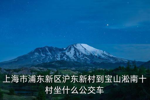 上海市浦東新區滬東新村到寶山淞南十村坐什么公交車