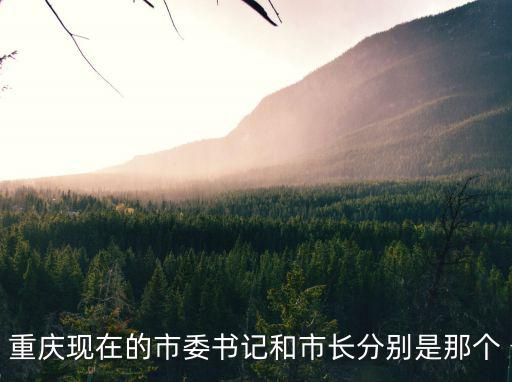 重慶現(xiàn)在的市委書記和市長分別是那個
