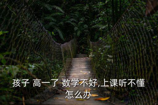 孩子 高一了 數學不好,上課聽不懂怎么辦