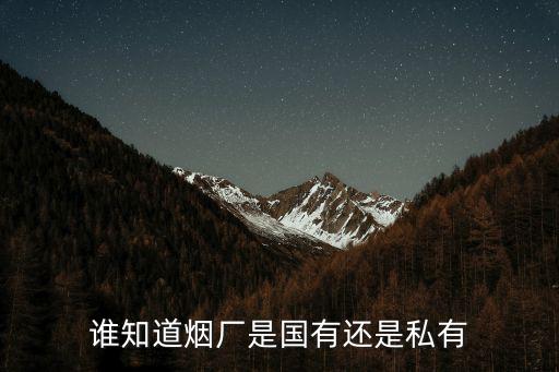 誰知道煙廠是國有還是私有