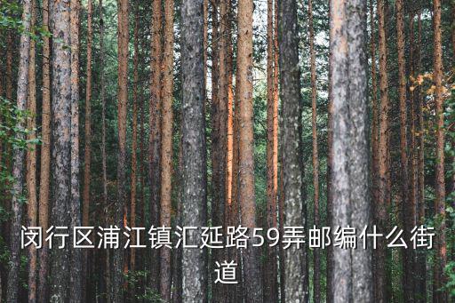上海市浦江鎮匯延路郵政編碼，上海市閔行區浦江鎮郵編是多少