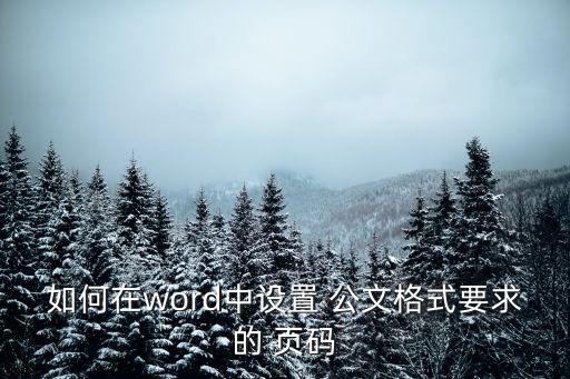 如何在word中設置 公文格式要求的 頁碼
