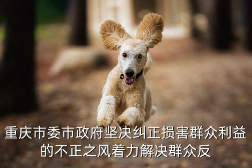 重慶市市政府劉文躍，黨組織關系是否可以托管到重慶市大中專畢業生就業指導服務中心