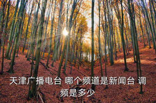 天津廣播電臺 哪個頻道是新聞臺 調頻是多少