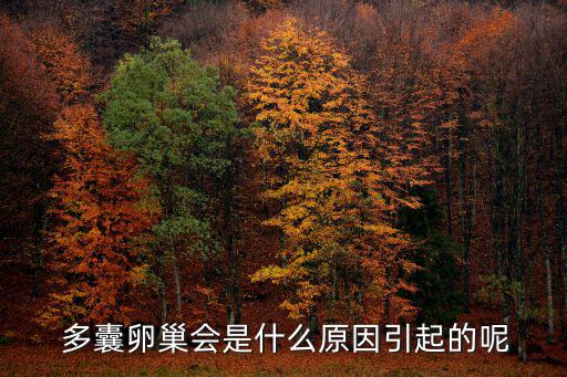  多囊卵巢會是什么原因引起的呢