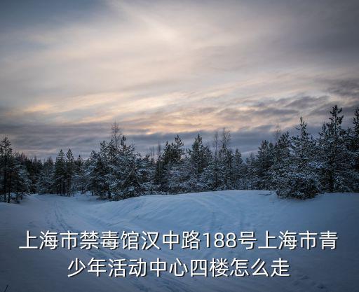上海市禁毒館漢中路188號上海市青少年活動中心四樓怎么走
