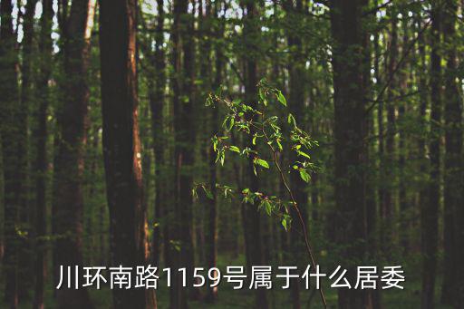 上海市川沙新德一村總戶數，川環南路1159號屬于什么居委