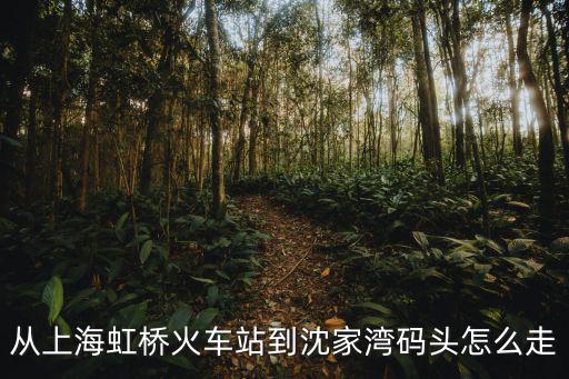 從上海虹橋火車站到沈家灣碼頭怎么走