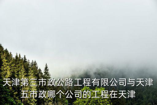 天津市興業龍祥建筑有限公司簡介，張泉芬的介紹