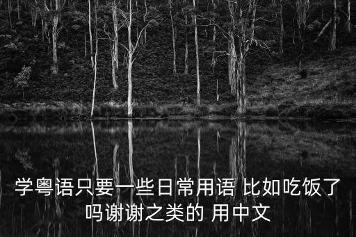 廣州話日常用語用字，粵語日常用語