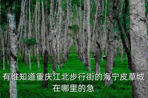重慶市江北皮草城，重慶在哪里有皮草批發市場要成衣喲謝謝