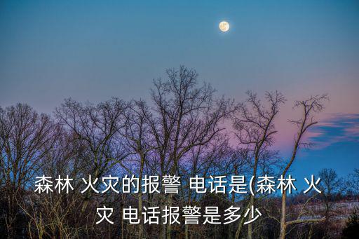 森林 火災的報警 電話是(森林 火災 電話報警是多少