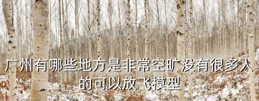 廣州有哪些地方是非常空曠沒有很多人的可以放飛模型