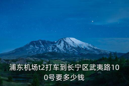 從浦東機場到上海市武夷路，去上海晚上22點多浦東機場下飛機到長寧區(qū)武夷路155號漢庭坐什么便宜