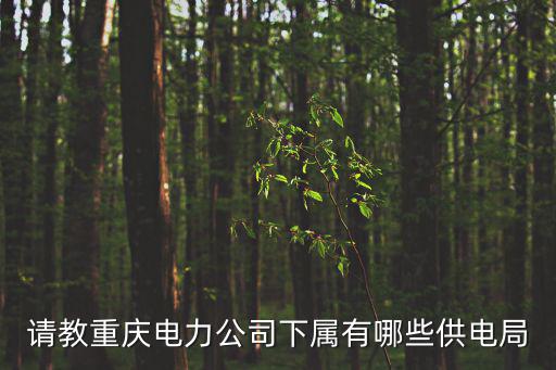 重慶市電力公司安保部主要領導有哪些，重慶市電力局