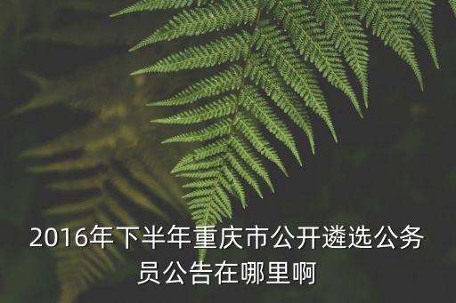 2016年下半年重慶市公開遴選公務(wù)員公告在哪里啊