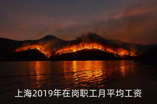 上海2019年在崗職工月平均工資
