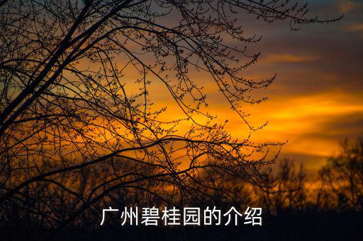 廣州碧桂園的介紹