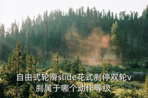 自由式輪滑slide花式剎停雙輪v剎屬于哪個動作等級