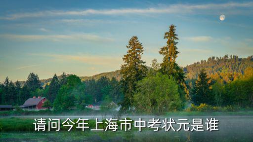 請(qǐng)問今年上海市中考狀元是誰