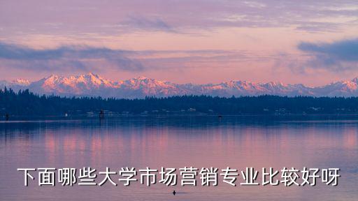 重慶市航空市場需求如何，下面哪些大學(xué)市場營銷專業(yè)比較好呀