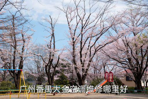廣州番禺大金空調維修哪里好